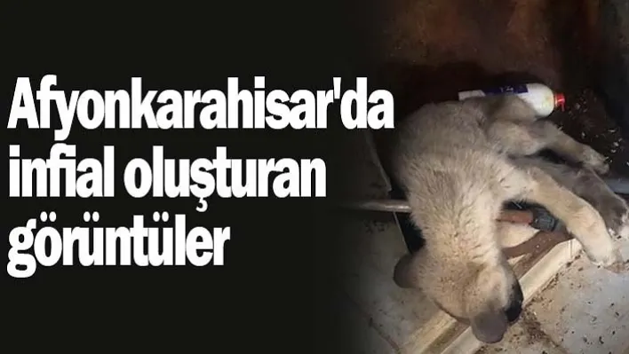 Afyonkarahisar'da infial oluşturan görüntüler