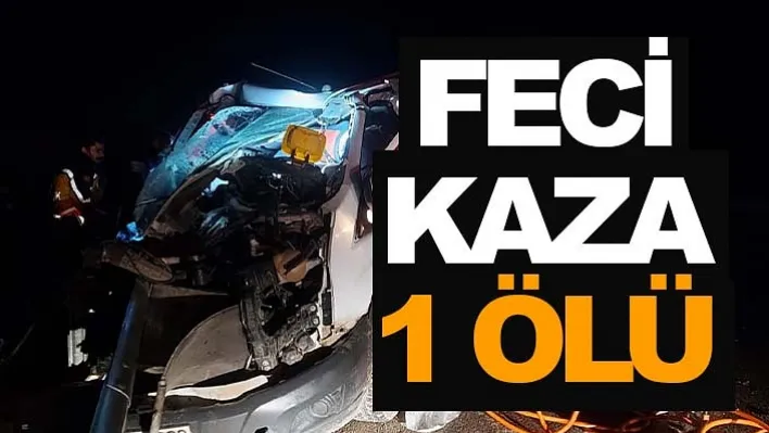 Feci Kaza: 1 Ölü