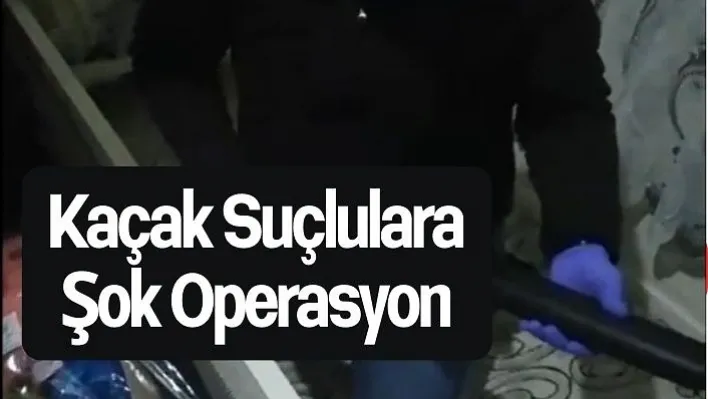 Kaçak Suçlulara Şok Operasyon: 5 Gözaltı