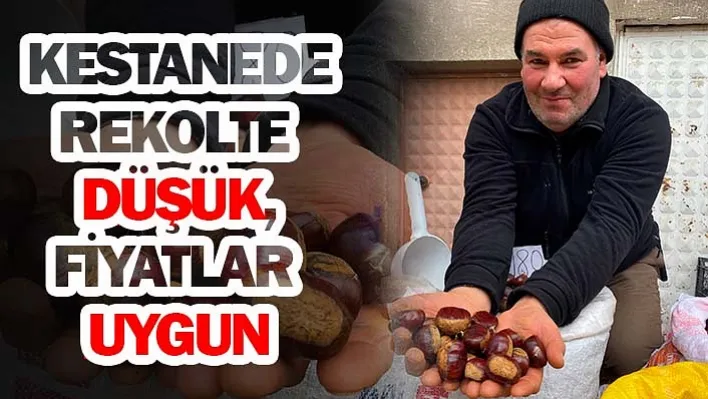 Kestanede rekolte düşük fiyatlar uygun