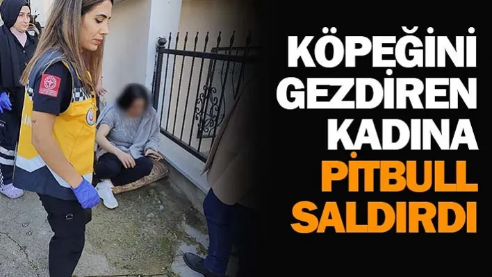 Köpeğini Gezdiren Kadına Pitbull Saldırdı