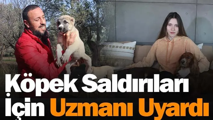 Köpek saldırıları için uzmanı uyardı