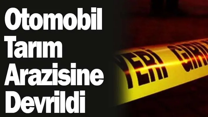 Otomobil Tarım Arazisine Devrildi: 1 Yaralı