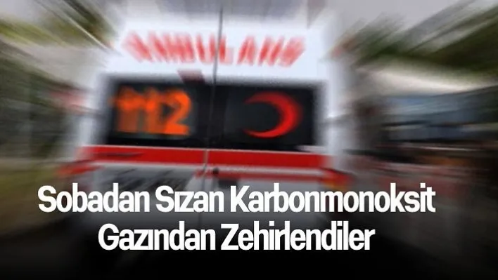 Sobadan sızan karbonmonoksit gazından zehirlendiler