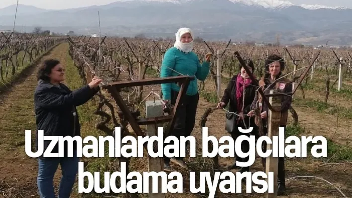 Uzmanlardan bağcılara uyarı!