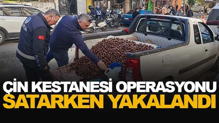 Zabıta, &quotBu kestanenin zehirleme riski var" diyerek uyardı