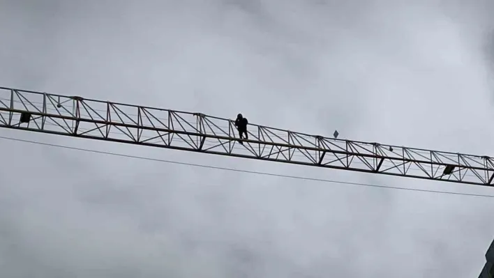 50 metre yükseklikteki kule vincin üstüne çıkıp intihar girişiminde bulundu