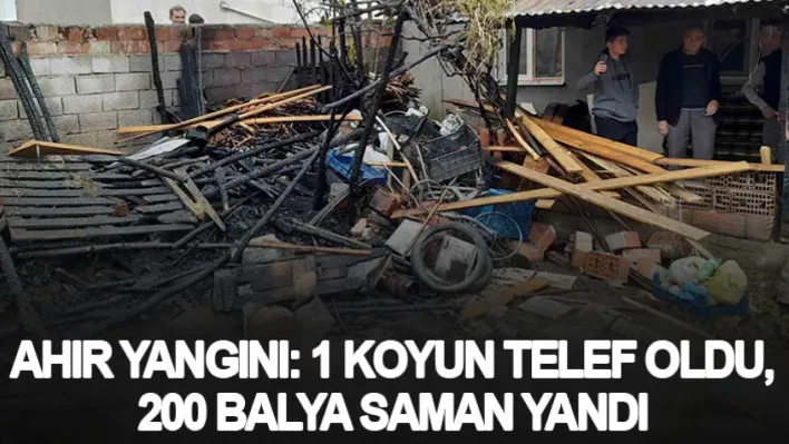 Ahır yangını: 1 koyun telef oldu, 200 balya saman yandı