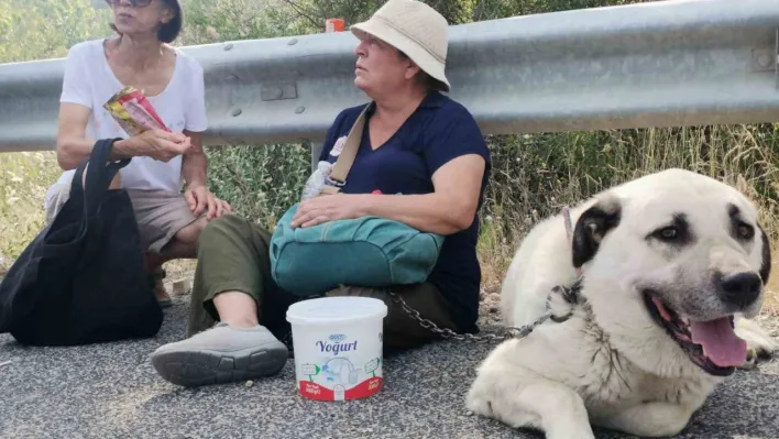 Alevler evinin bahçesine kadar geldi, gözyaşlarına hakim olamadı