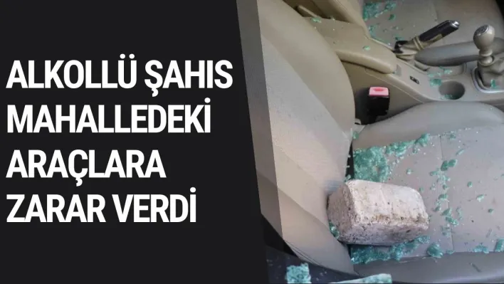 Alkollü şahıs mahalledeki araçlara zarar verdi