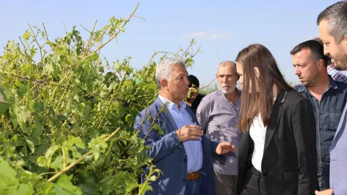 Başkan Durbay dolunun zarar verdiği alanları inceledi