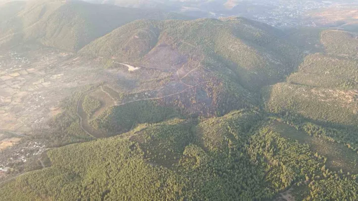 Bodrum'da orman yangına 18 saat sonra kontrol altına alındı