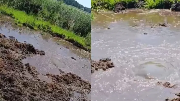 Buldan Yayla Gölünde temizleme çalışmaları esnasında su kaynağı bulundu