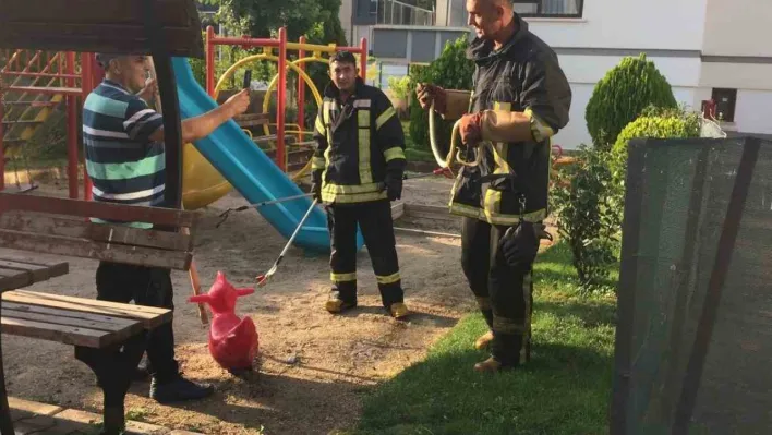 Çocuk oyun alanında yılan paniği