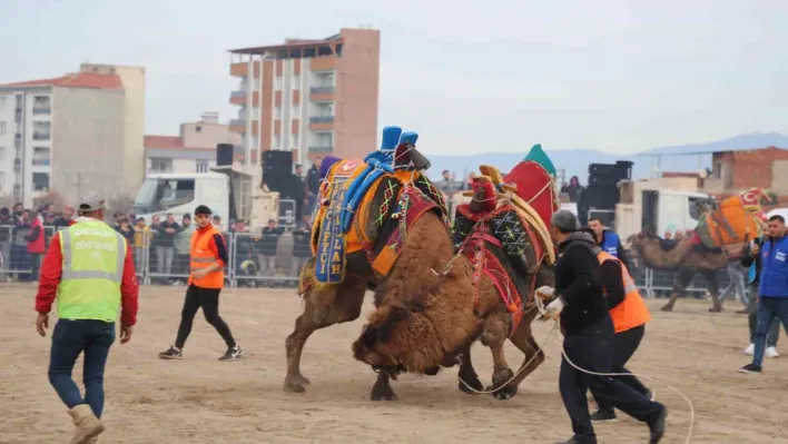 Develer şampiyonluk için Turgutlu'da güreşecek