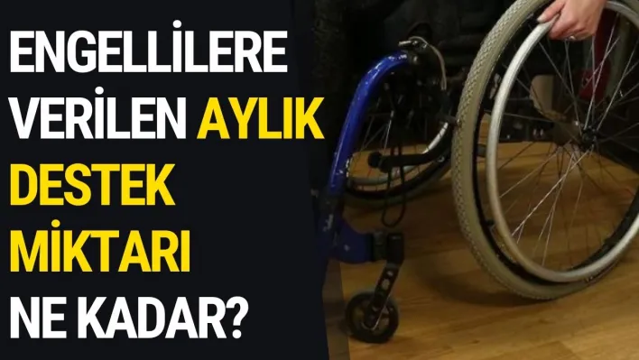 Engellilere Verilen Aylık Destek Miktarı Ne Kadar?