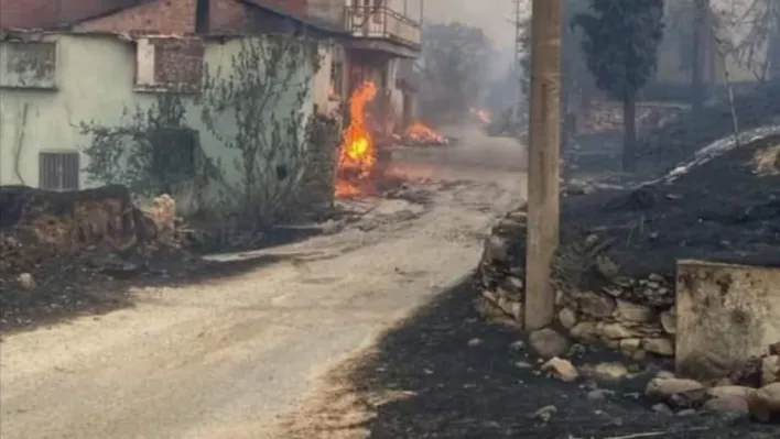 Hayvanları orman yangınında telef olan vatandaşın feryadı yürek dağladı