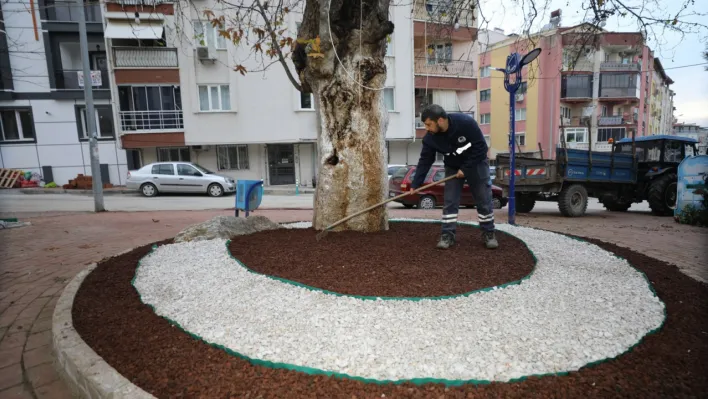 HEM DOĞAYA KATKI HEM ESTETİK GÖRÜNÜM İÇİN KURU PEYZAJ