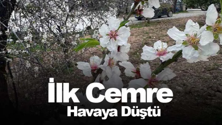 İlk cemre havaya düştü