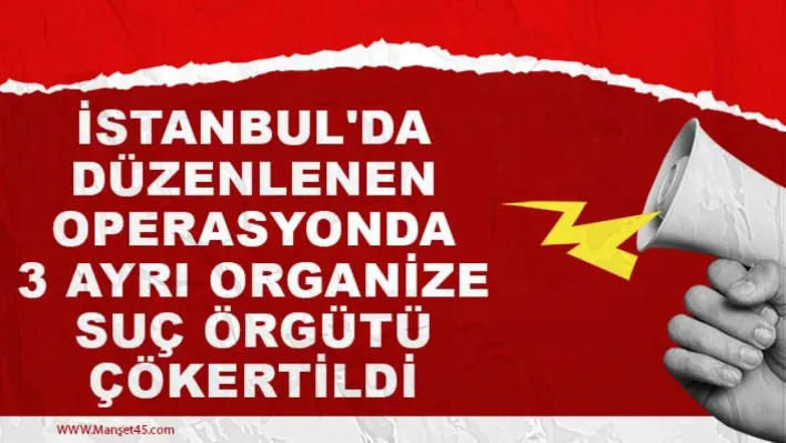 İstanbul'da düzenlenen operasyonda 3 ayrı organize suç örgütü çökertildi