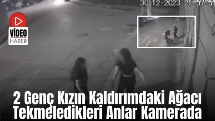 İzmir'de 2 genç kızın kaldırımdaki ağacı tekmeledikleri anlar kamerada