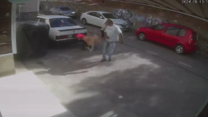 İzmir'de sevdiği köpeğin saldırısına uğrayan çocuk yaralandı