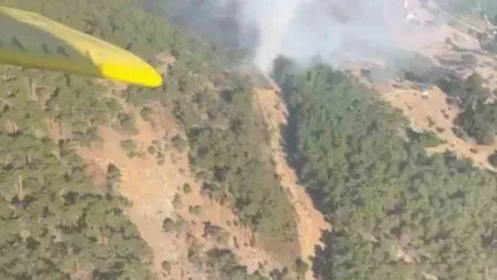 İzmir'deki orman yangınına havadan ve karadan müdahale sürüyor