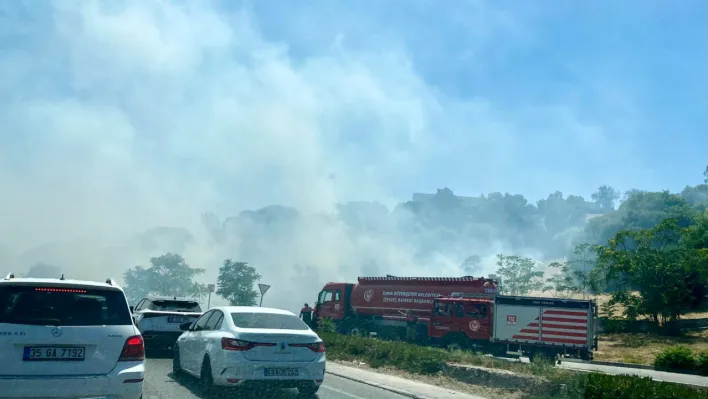 İzmir Yeşildere yolunda yangın paniği