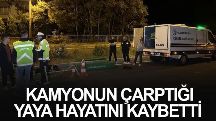 Kamyonun Çarptığı Yaya Hayatını Kaybetti