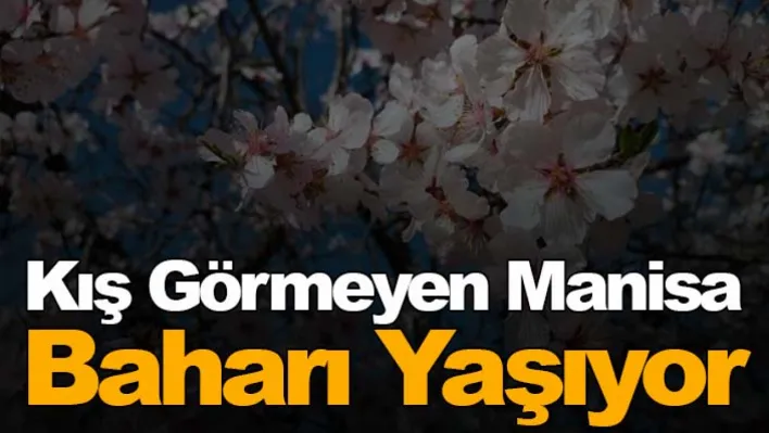 Kış görmeyen Manisa baharı yaşıyor