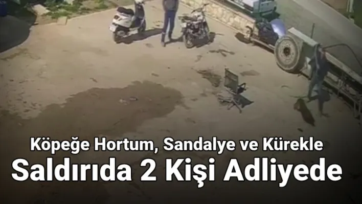 Köpeğe hortum, sandalye ve kürekle saldırıda 2 kişi adliyede