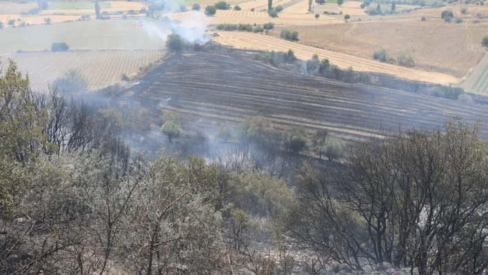 Kula'da yangınlar devam ediyor: 100 dönüm arazi küle döndü