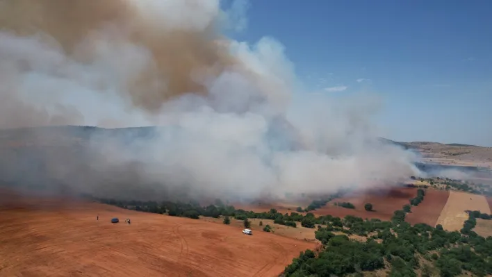 Kula'daki orman yangını kontrol altına alındı