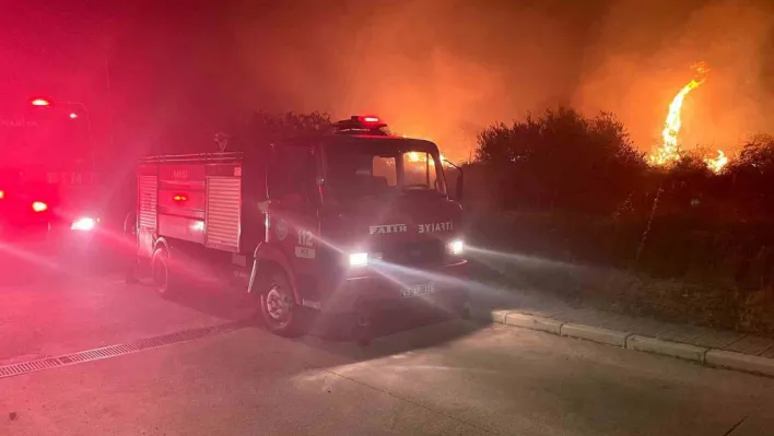 Manisa'da ağaçlık alanda yangın