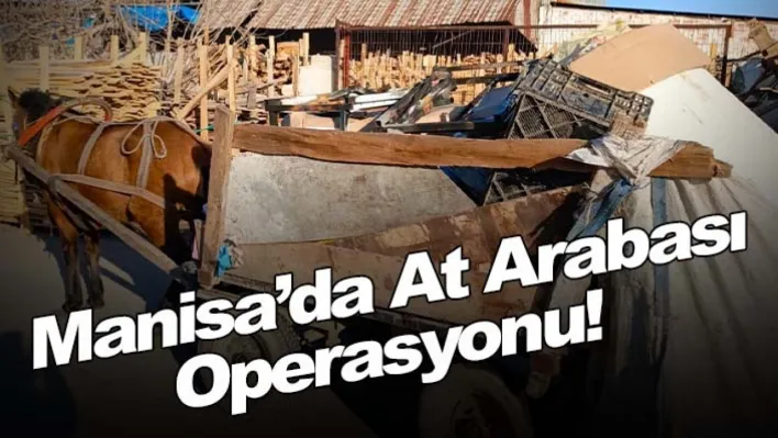 Manisa'da at arabası operasyonu!