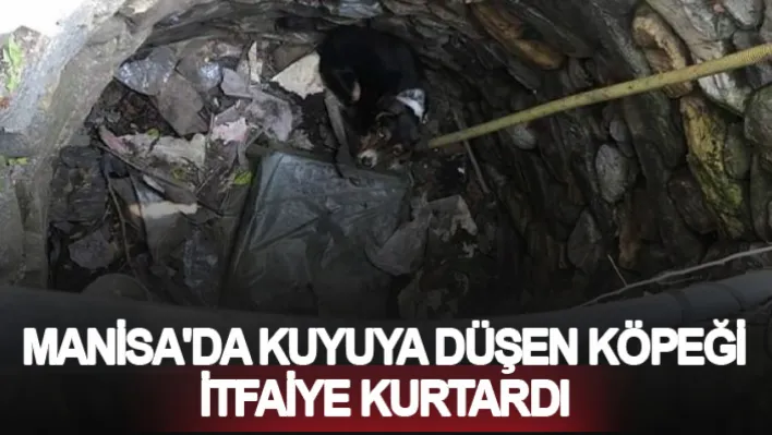 Manisa'da Kuyuya düşen köpeği itfaiye kurtardı