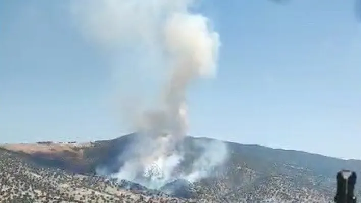 Manisa'da orman yangını