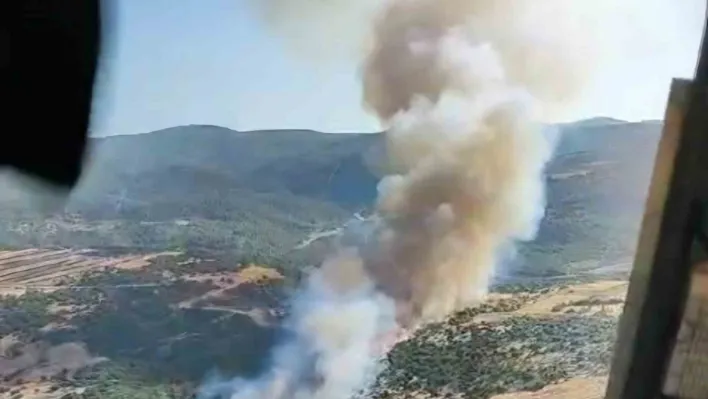 Manisa'da ormanlık alandaki 2 yangın da kontrol altına alındı