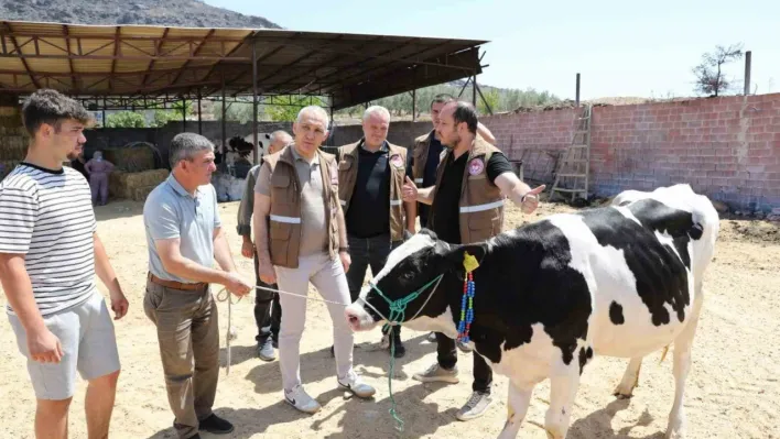 Manisa'da yangın felaketinin yaraları sarılıyor