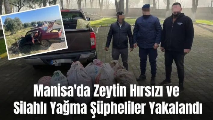 Manisa'da Zeytin Hırsızı ve Silahlı Yağma Şüpheliler Yakalandı