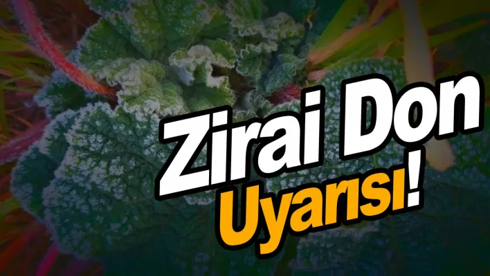 Manisa'da Zirai Don Riskine Dikkat!