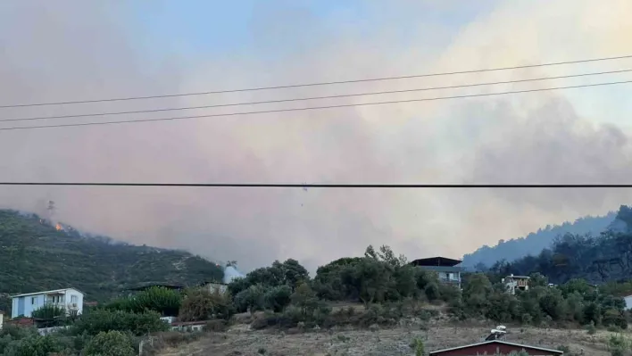 Manisa'daki orman yangını kontrol altına alındı