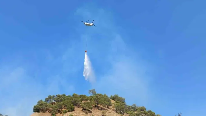 Manisa'daki orman yangınına müdahale devam ediyor