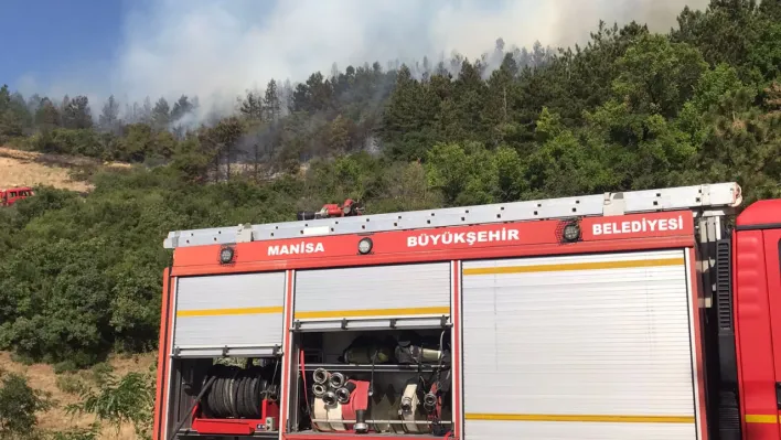 Manisa Spil'de Orman yangını