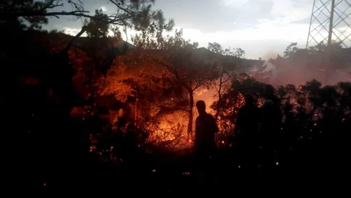Marmaris'te korkutan orman yangını