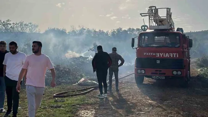 Muğla'da makilik yangını