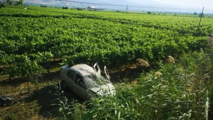 Otomobil üzüm bağına uçtu, sürücü ölümden döndü