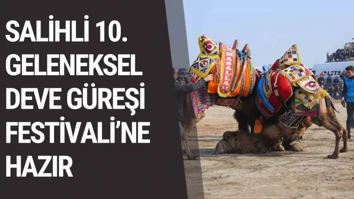 Salihli 10. Geleneksel Deve Güreşi Festivali'ne hazır