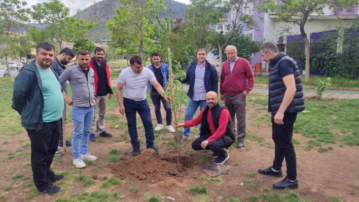 Soma'da yaşayan Ordulular hayatını kaybeden madenciler anısına fidan dikti