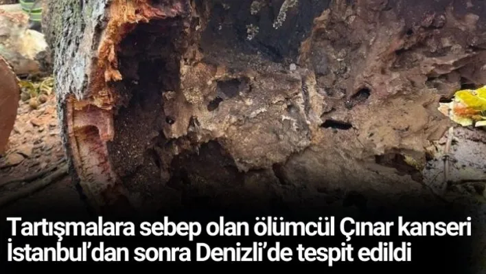 İstanbul'dan sonra Denizli'de tespit edildi